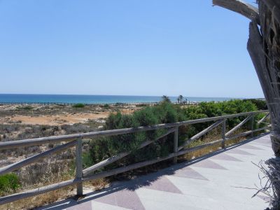 Hala