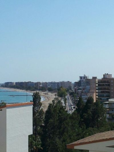Hala