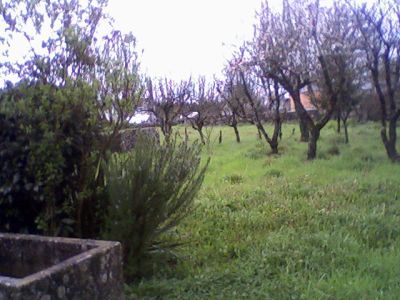 Aula