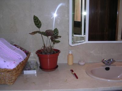 Salón