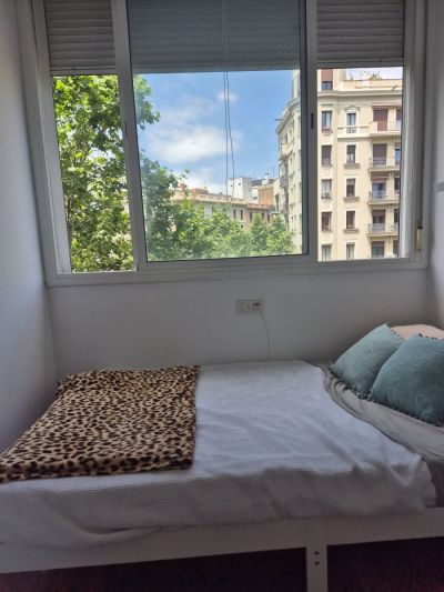 Stanza singola &middot; Bagno privato.  10