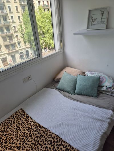 Stanza singola &middot; Bagno privato.  11