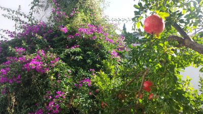 双人间 &middot; 带套间.  3