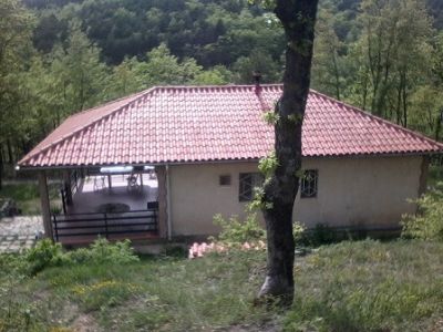 Photo Fotka  1