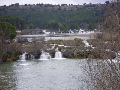 Hala