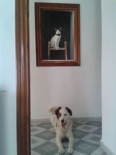 Aula