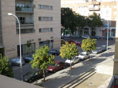 Hala