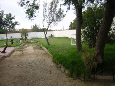 Hala